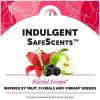 imageSummers Eve Fragrance Free Gentle Daily All Over Feminine Body Wash Removes Odor Feminine Wash pH Balanced 15 fl oz 3 PackBlissfull Escape